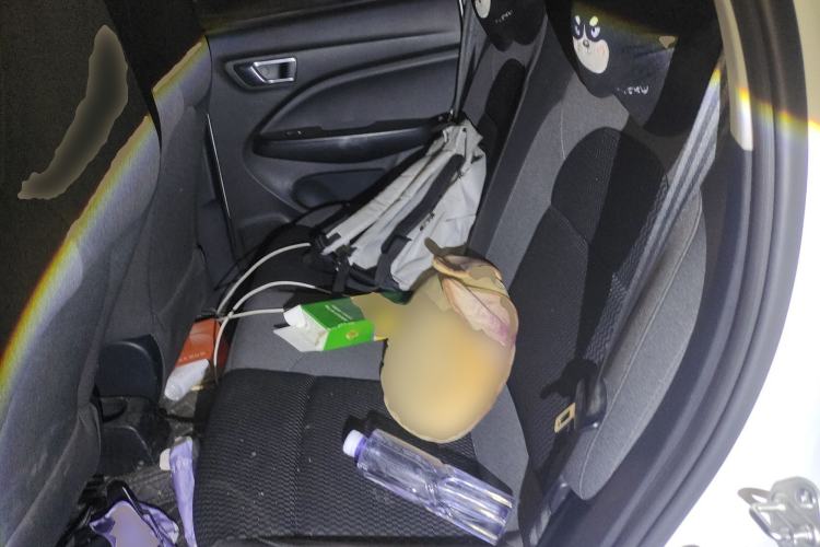 Used Leapmotor T03 2021 400 Lite Edition - Lithium-Ion Battery