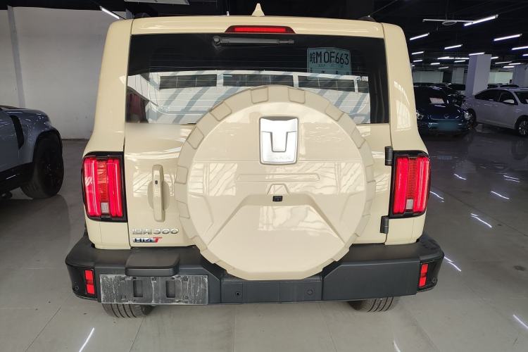 Used Tank 300 New Energy 2024 Hi4-T