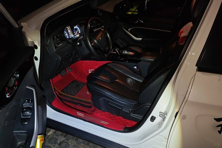 Used Venucia D60EV 2019 High-Range Travel Edition
