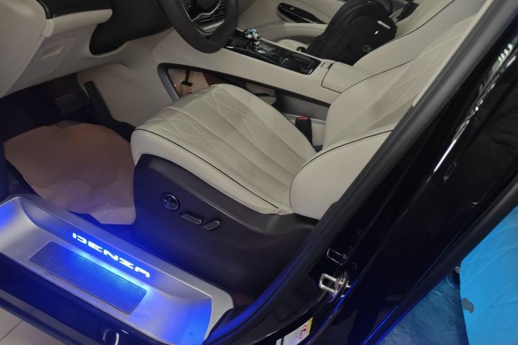 Used Denza D9 2024 DM-i 980 Four-Wheel Drive Prestige Model Left Front Seat