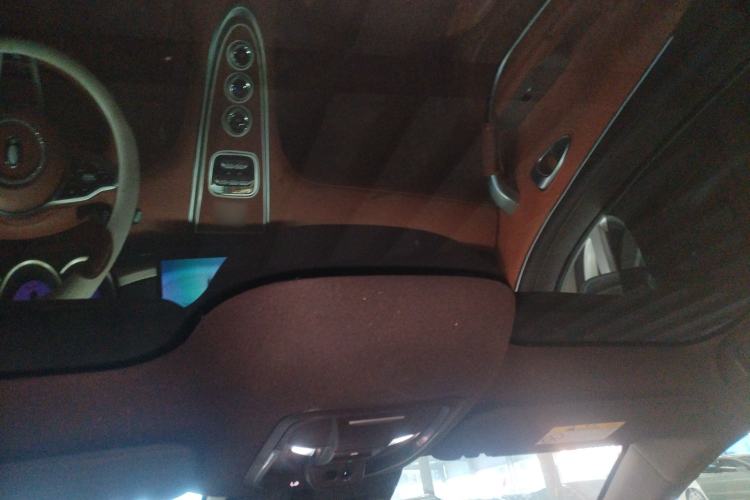 Used ORA Lightning Cat 2022 555 km Luxury Edition Headliner