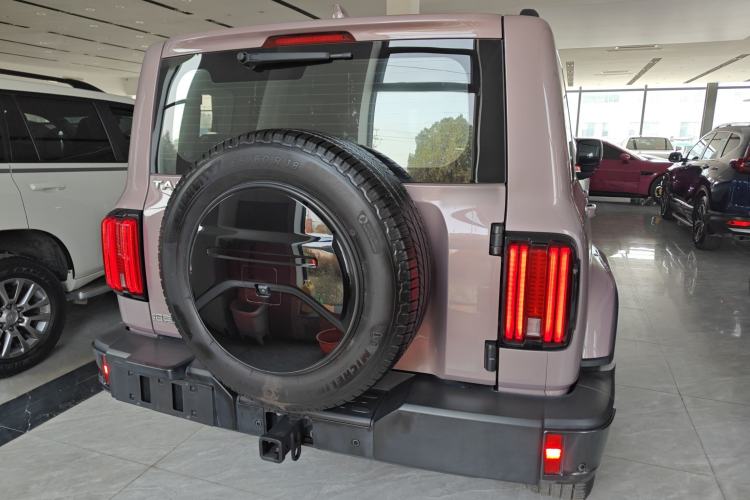 Used Tank 300 2023 City Edition 2.0T Essential Model