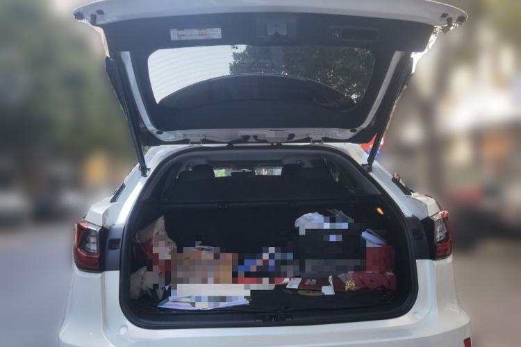 Used Lexus RX 2016 300 4x4 Elegant Edition China V-standard
