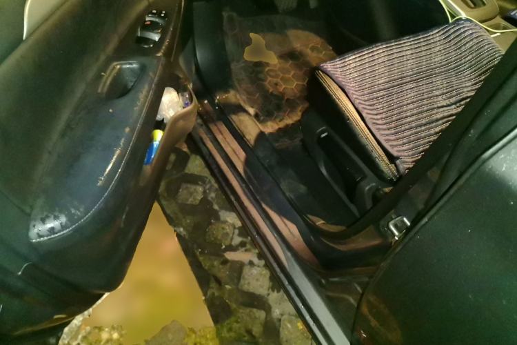 Used Nissan Sylphy 2024 Classic 1.6XE CVT Comfort Edition
