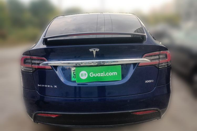 Used Tesla Model X 2017 X 100D Long Range Edition Rear