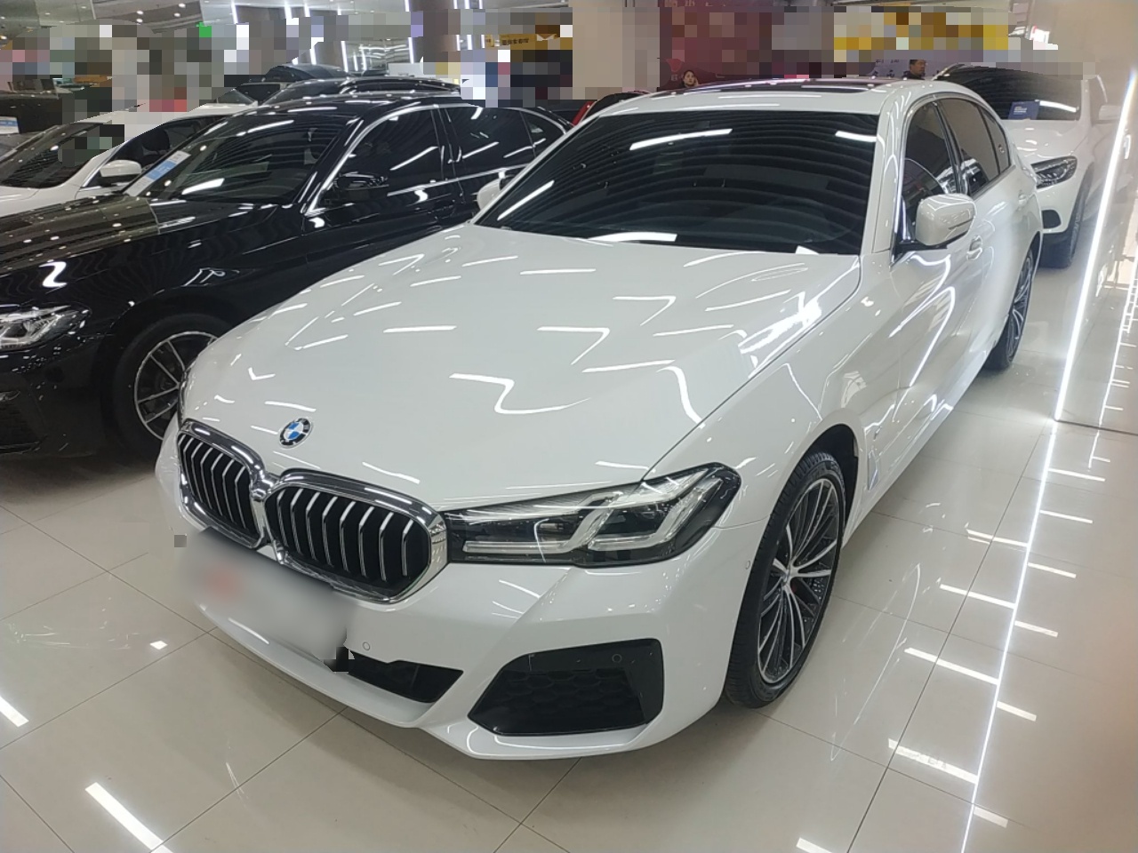 Parte inferior delantera