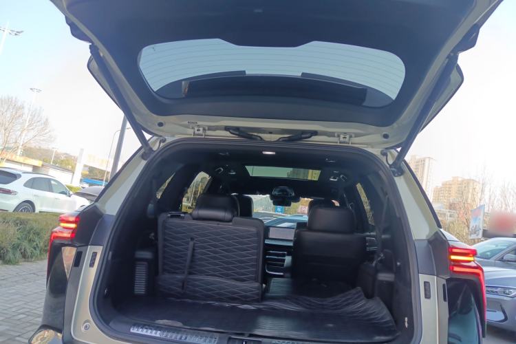 Used Wey Lanshan 2023 Two-Wheel Drive Long-Range Version