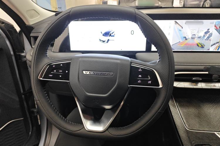 Used Venucia V DD-i 2024 110km iE Joy Ride Edition Steering Wheel