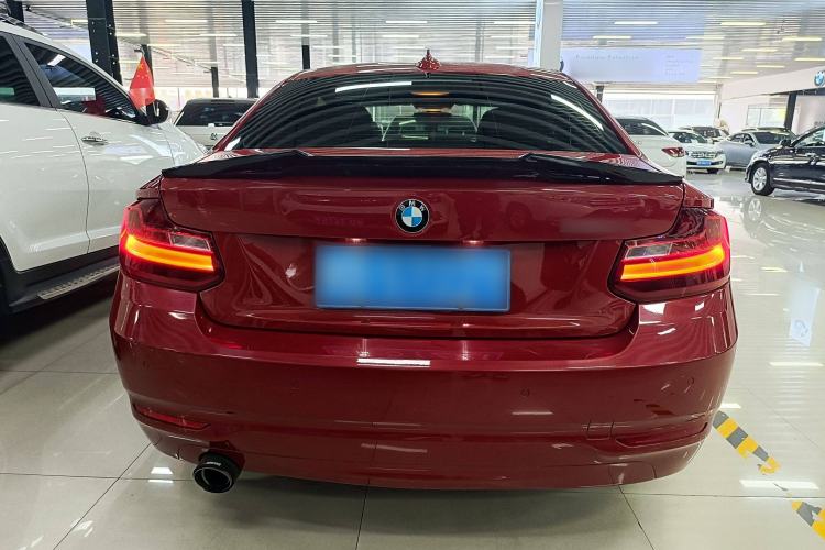 Used BMW 2 Series 2014 220i Leading Model
