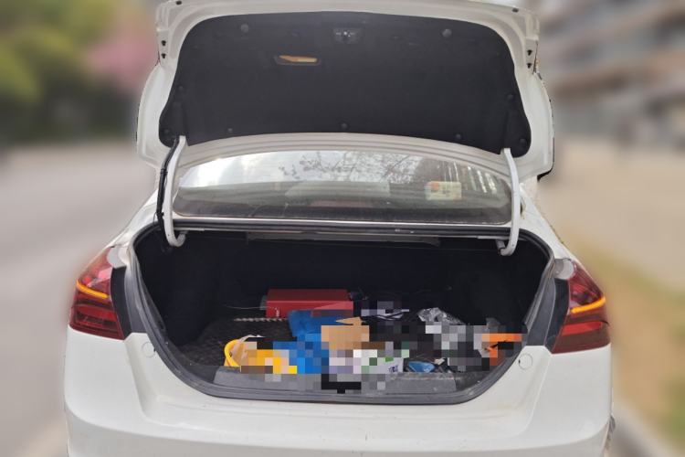 Used Geely Auto Emgrand New Energy 2018 EV450 Ambition Model
