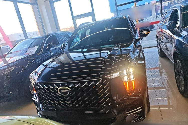 Used GAC Trumpchi GS8 2024 Linghang Series 2.0 TGDI Two-Wheel Drive Luxury Smart Connectivity Version Front