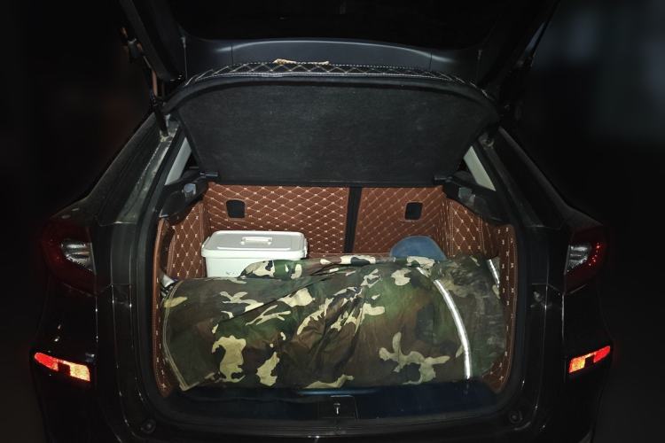 Used Honda Avancier 2017 370TURBO Four-Wheel Drive Prestige Edition Rear