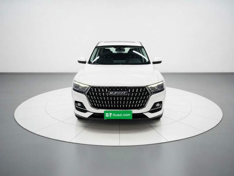 Used Haval H6 2023 National Trend Edition 1.5T Automatic Urban Version — 2