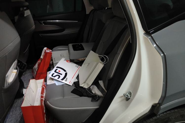 Used Buick E5 2023 Zhenxiang Standard Range Edition Left Rear Seat