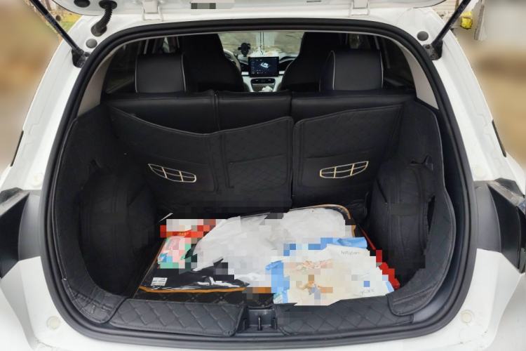 Used Geely Galaxy Geome 2025 310km Youth Edition