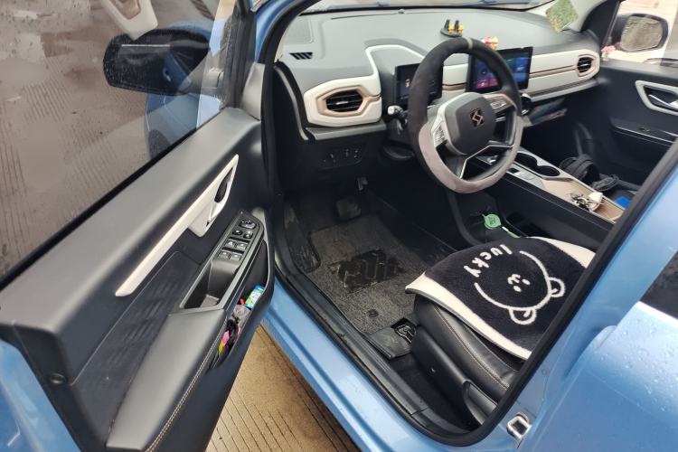 Used SOL E10X 2022 Flower Fairy Design Four-Leaf Clover
