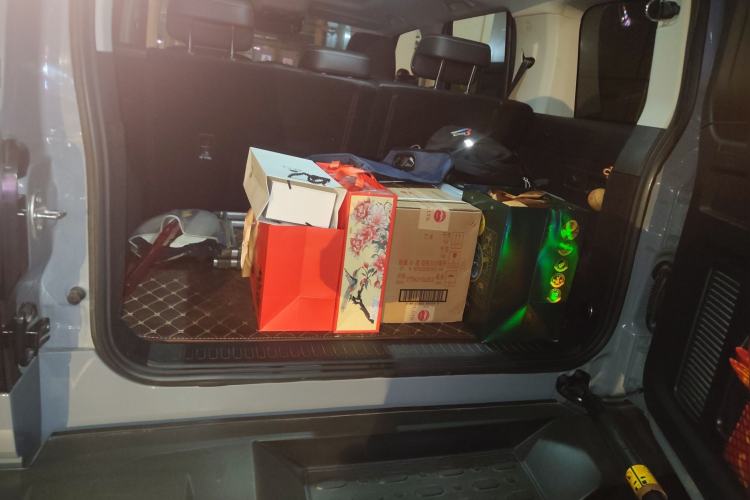 Used Tank 300 2023 City Edition 2.0T Essential Model