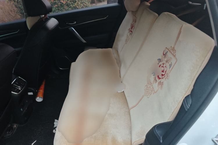 Used Honda Avancier 2017 370TURBO Four-Wheel Drive Prestige Edition