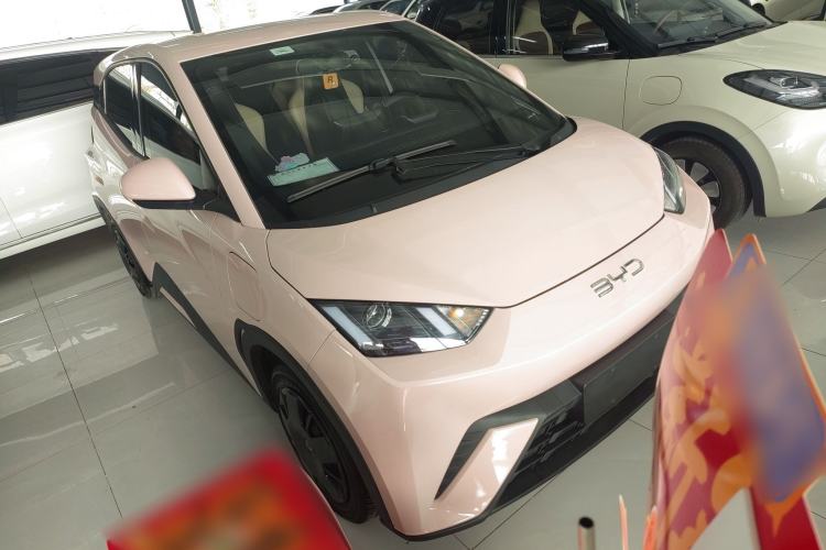 Used BYD Seagull 2024 Honor Edition 305km Dynamic Version Exterior 2