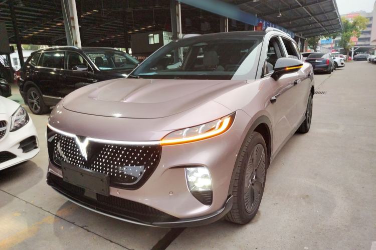 Used VOYAH COURAGE 2024 Four-Wheel Drive Global Edition