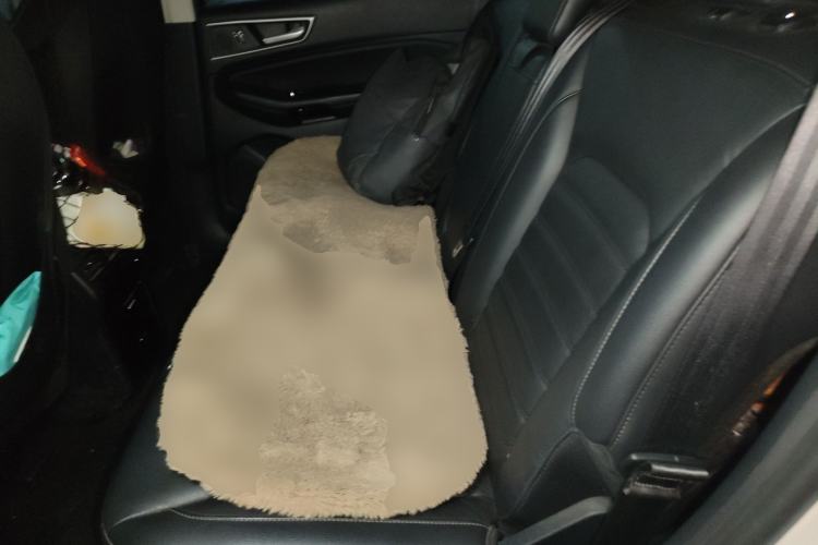 Used Ford Edge 2018 EcoBoost 245 Two-Wheel-Drive Platinum Edition 5 Seats Left Rear Seat