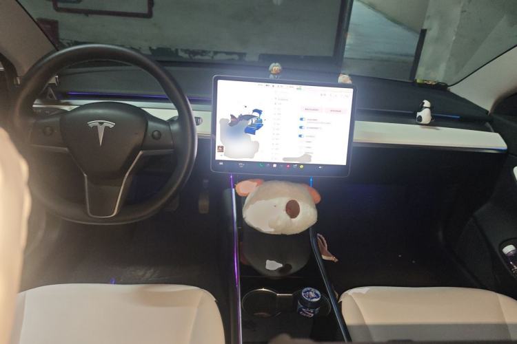 Used Tesla Model 3 2021 Standard Range Rear-Drive Upgraded Version
