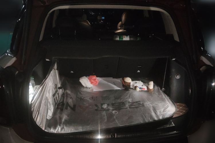 Used MINI Countryman 2019 2.0T COOPER S ALL4 Artist