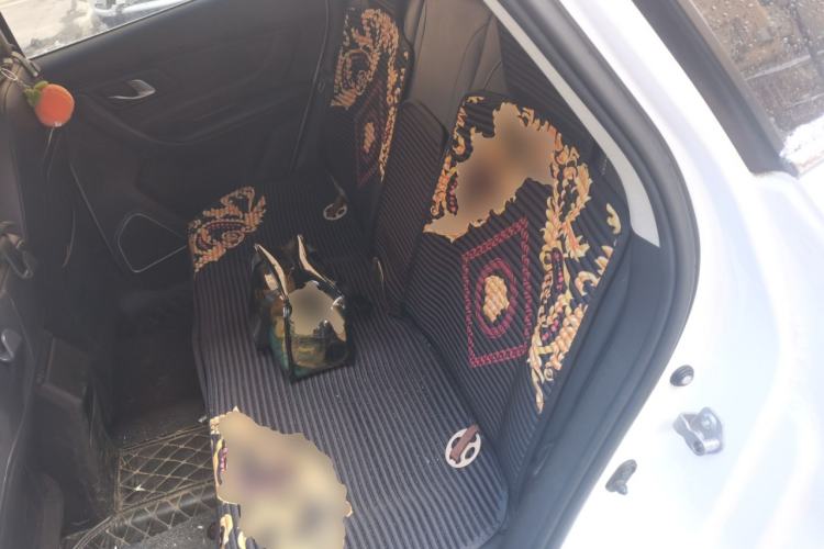 Used Bestune X40 2018 Internet Celebrity Edition 1.6L Automatic Luxury Version