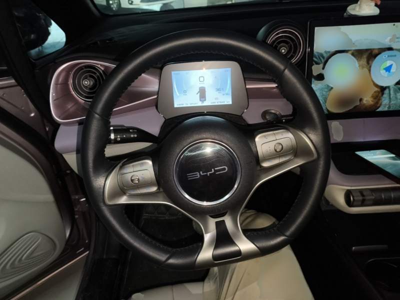 Used BYD Dolphin 2021 405 km Fashion Edition — 10