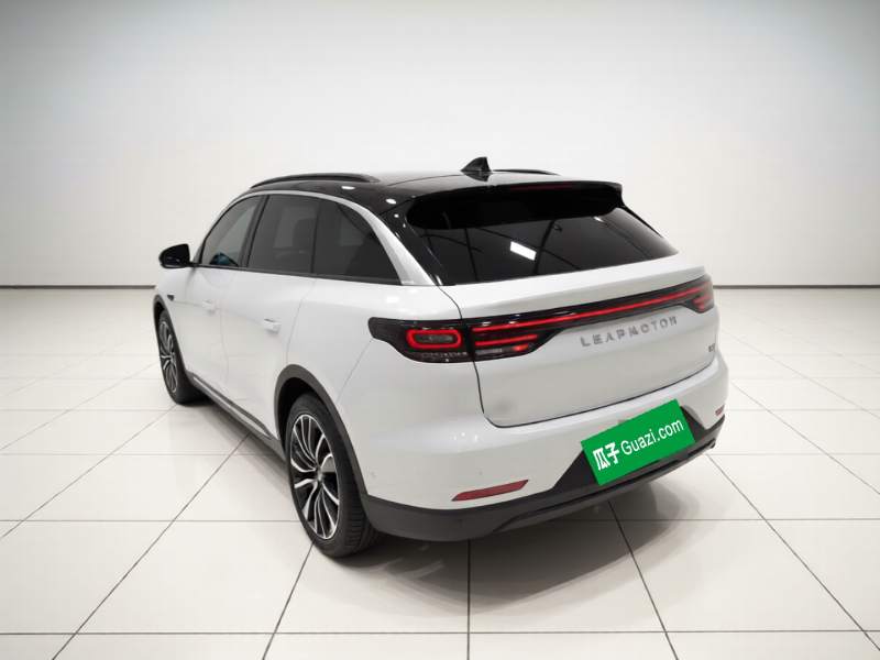 Used Leapmotor C11 2021 Executive Edition 610 — 4