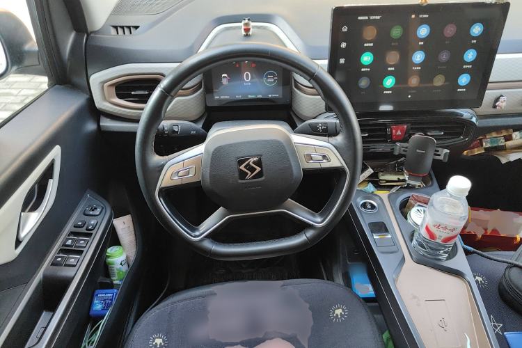 Used SOL E10X 2022 Flower Fairy Style Baby's Breath
