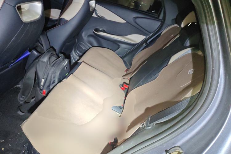 Used BYD Dolphin 2023 420 km Free Version Left Rear Seat