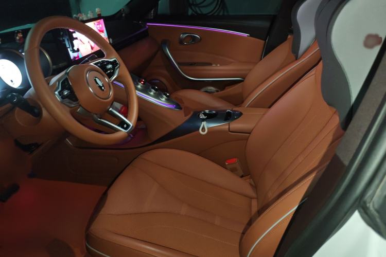 Used ORA Lightning Cat 2022 555 km Luxury Edition