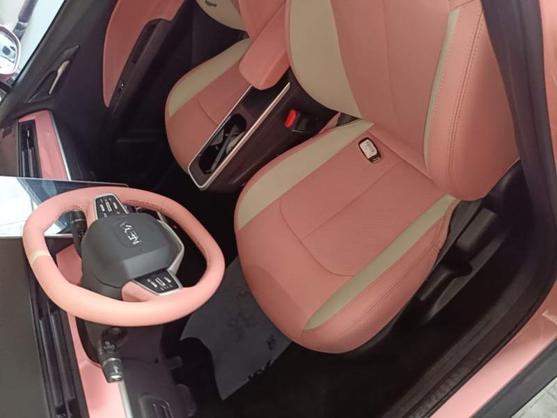Used NETA V 2022 Chao 400 Lite Pink Custom Edition — 14