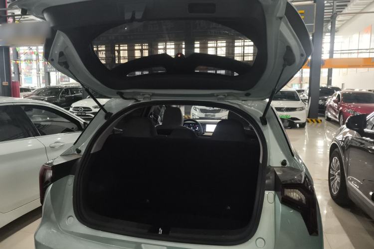 Used Geometry E Firefly 2024 301km Flowing Light