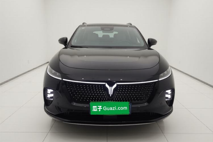 Used VOYAH COURAGE 2024 Four-Wheel Drive Global Edition