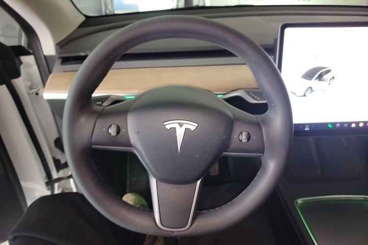 Used Tesla Model Y 2021 Standard Range Rear-Wheel Drive Version
