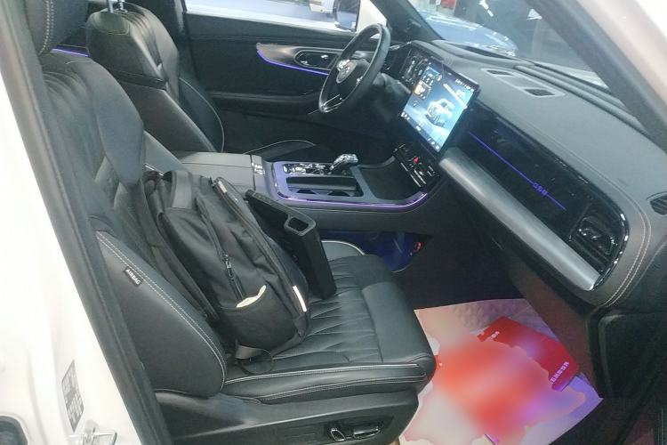 Used GAC Trumpchi GS8 2022 Dual-Engine Series 2.0TM Four-Wheel Drive Prestige Edition (6 Seats) Right Front Seat