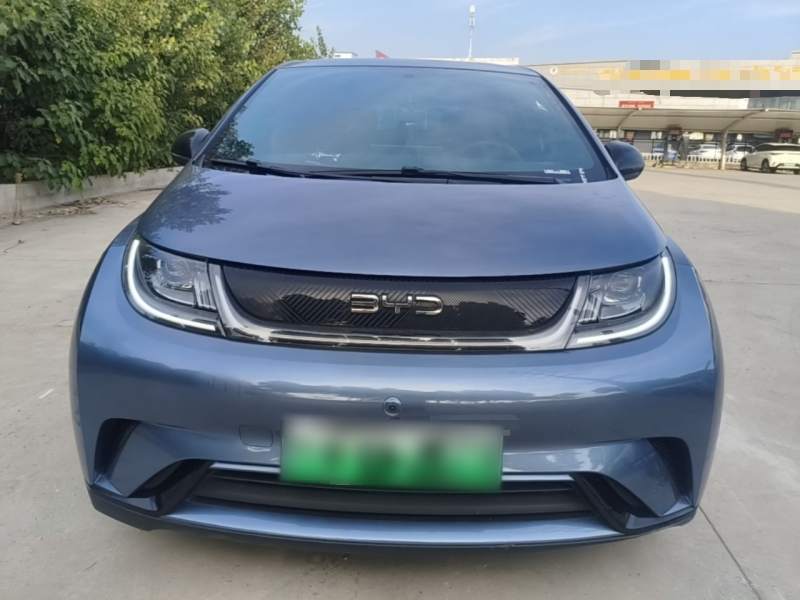 Used BYD Dolphin 2024 Honor Edition 420km Freedom Version — 2