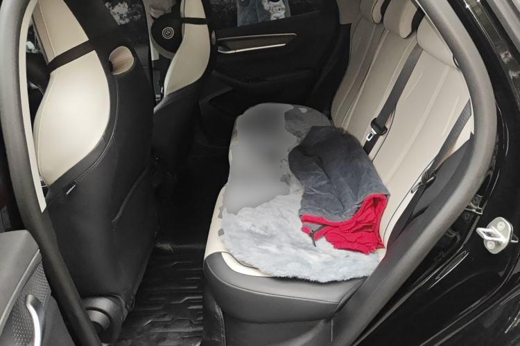 Used BYD Destroyer 05 2023 Champion Edition DM-i 55KM Luxury Model
