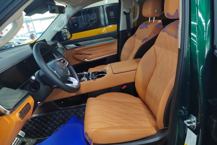 Used Tank 500 New Energy 2026 Model—Hi4-Z Smart Enjoyment Version Left Front Seat