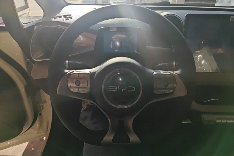 Used BYD Dolphin 2025 420km Free Edition
