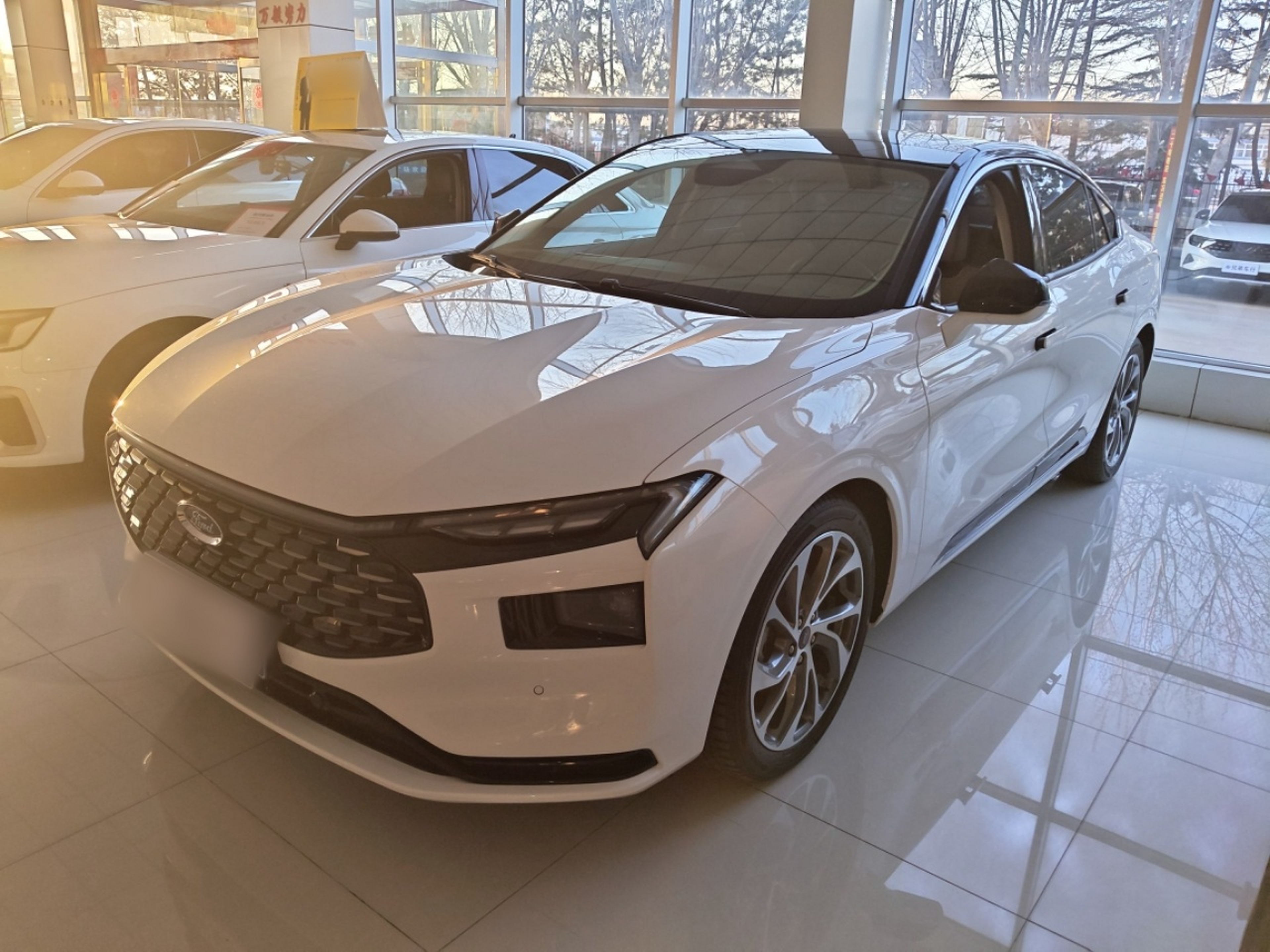 تحت مقدمة السيارة