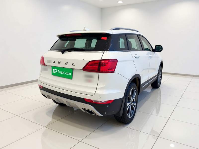 Used Haval H6 Coupe 2015 Blue Label 2.0T Manual Two-Wheel-Drive Elite Model — 6