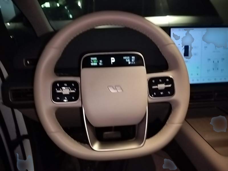 Used Li Auto MEGA 2025 Home Family Special Edition — 10