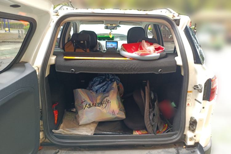 Used Ford EcoSport 2018 1.5L Automatic Platinum Wing Model