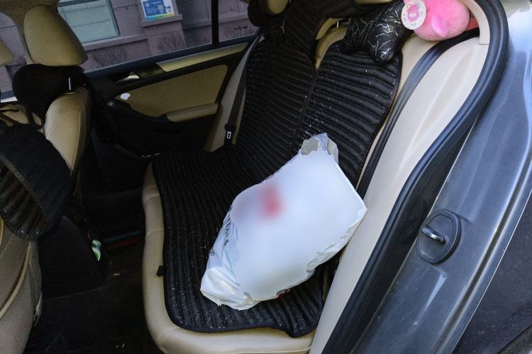 Used Volkswagen Sagitar 2012 1.4TSI Automatic Luxury Edition Left Rear Seat