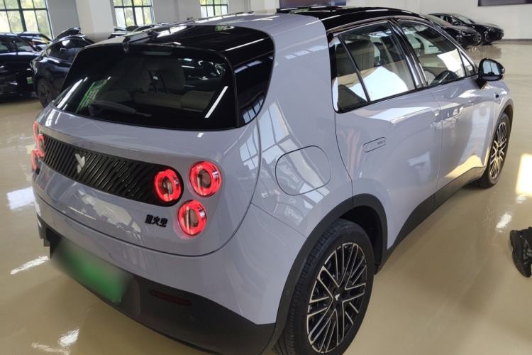 Used firefly 2025 Illuminated Edition