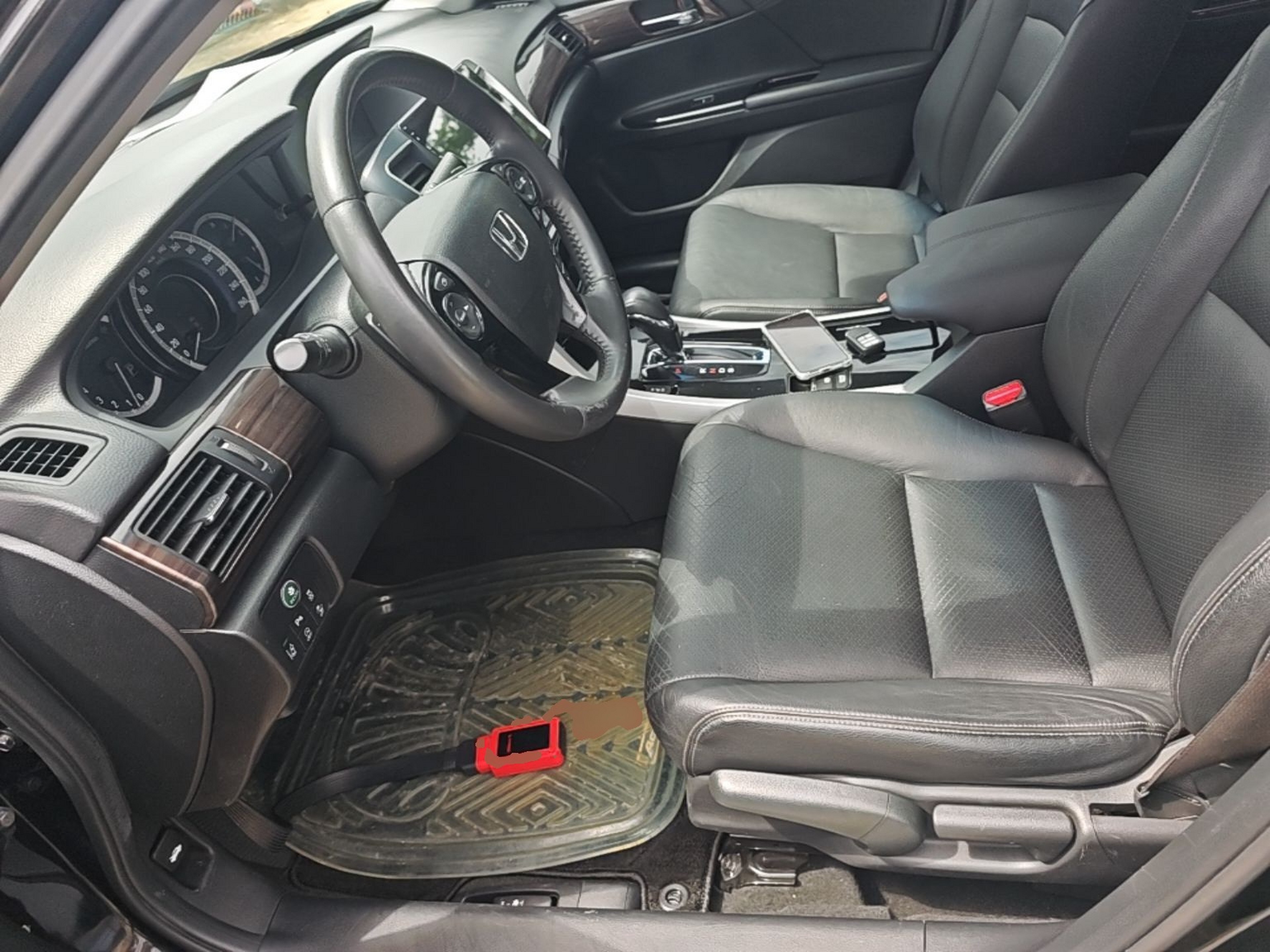 Interior delantero