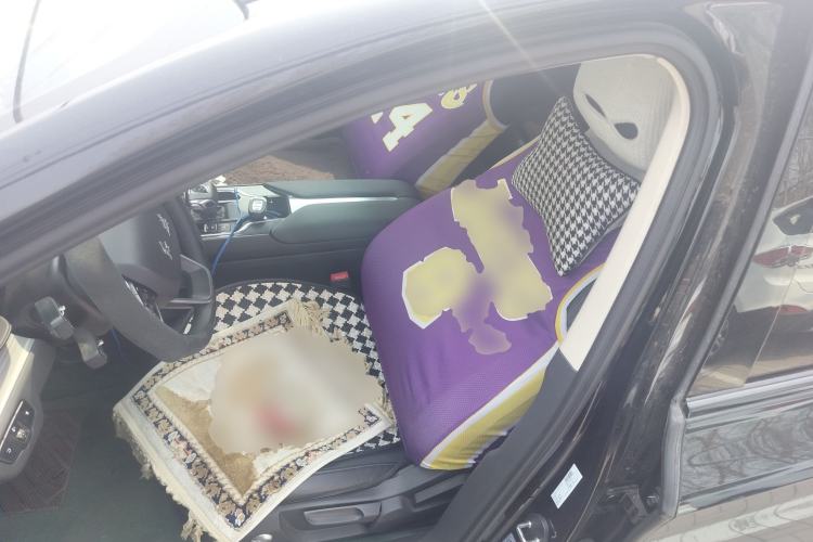 Used Hongqi E-QM5 2023 620km PLUS Left Front Seat